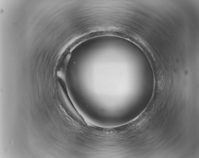 X0000055520975200508262201