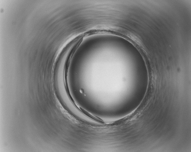 X0000055520976200508262201