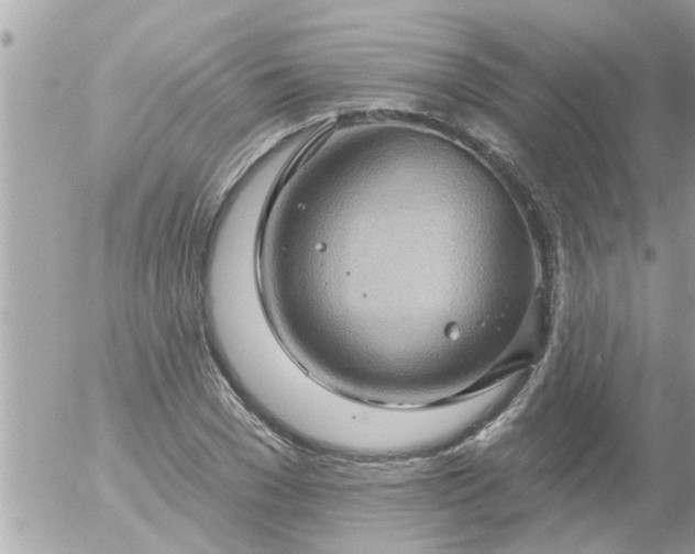 X0000055520977200508262201