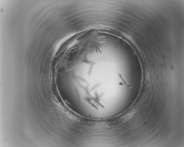 X0000055520979200508262201