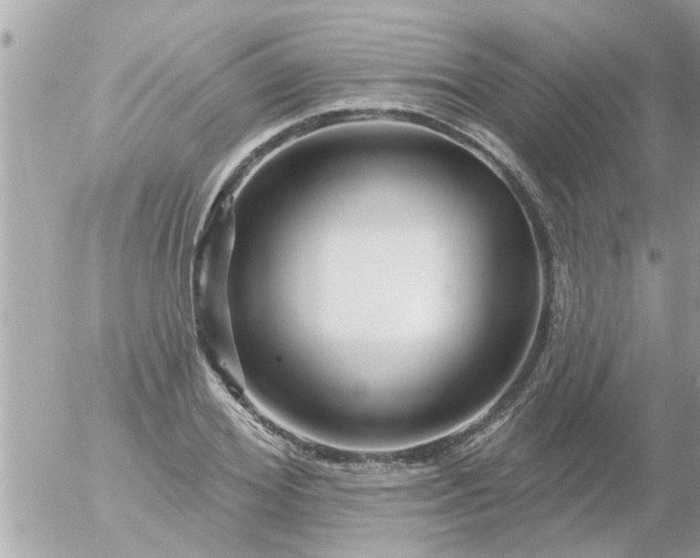 X0000055520980200508262201