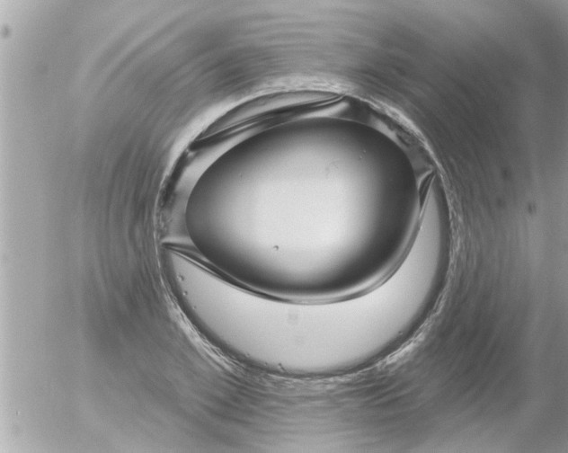 X0000055520981200508262201