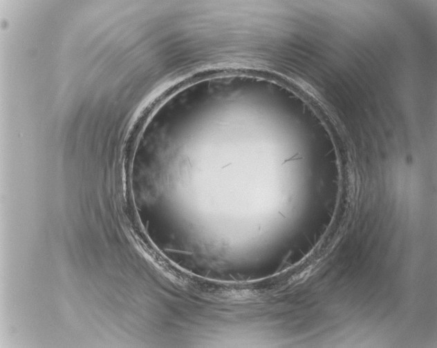 X0000055520982200508262201