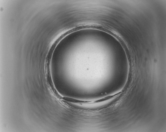 X0000055520983200508262201