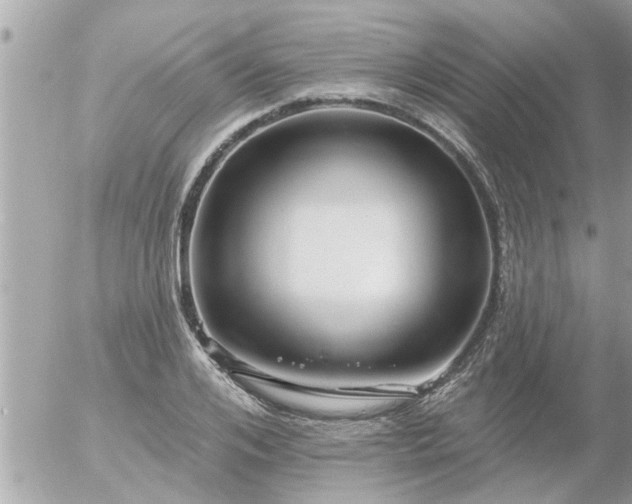 X0000055520984200508262201