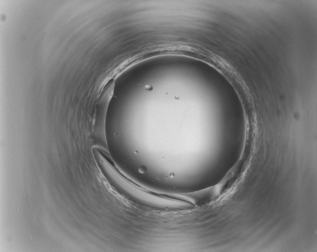 X0000055520985200508262201