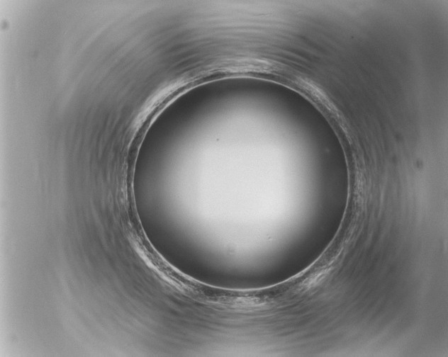 X0000055520986200508262201