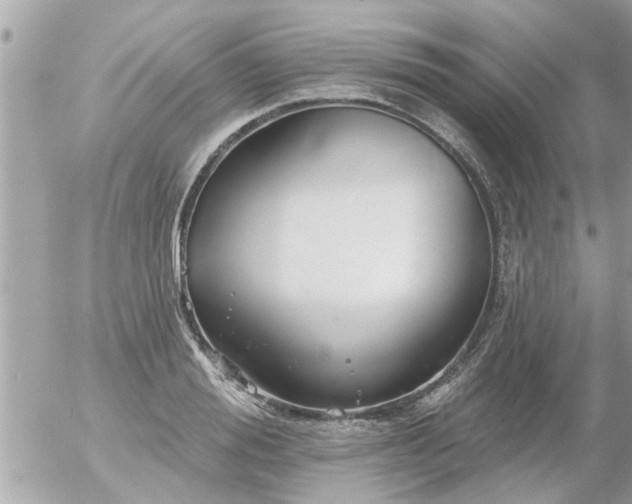 X0000055520988200508262201