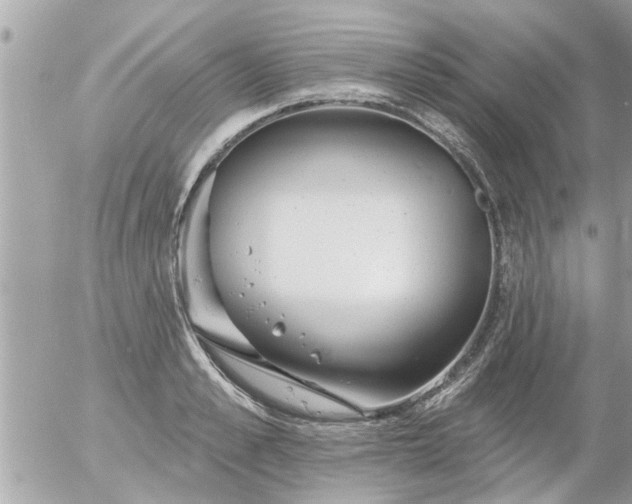 X0000055520989200508262201