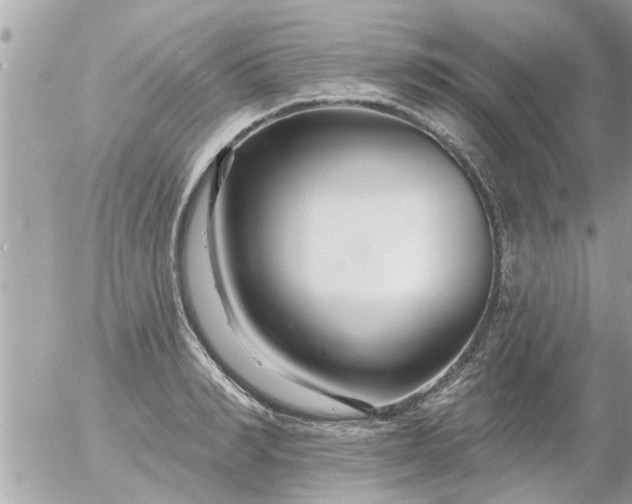 X0000055520990200508262201