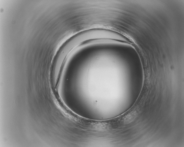 X0000055520991200508262201