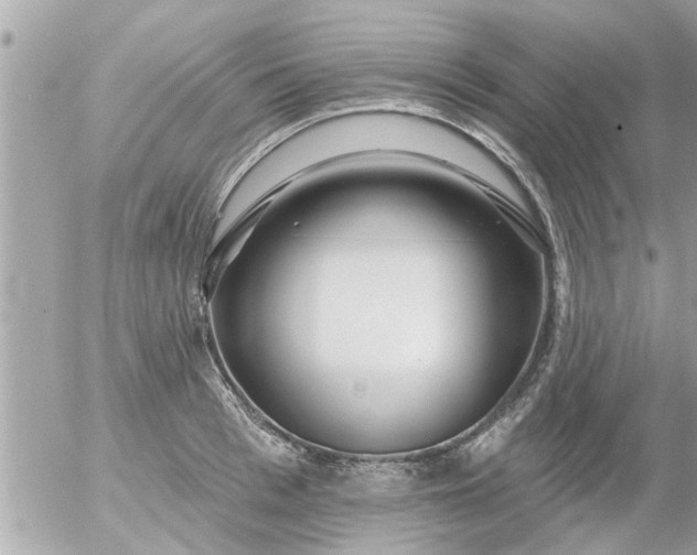 X0000055520993200508262201