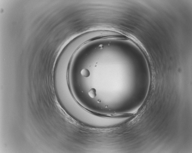 X0000055520996200508262201