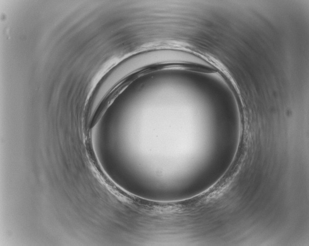 X0000055520997200508262201