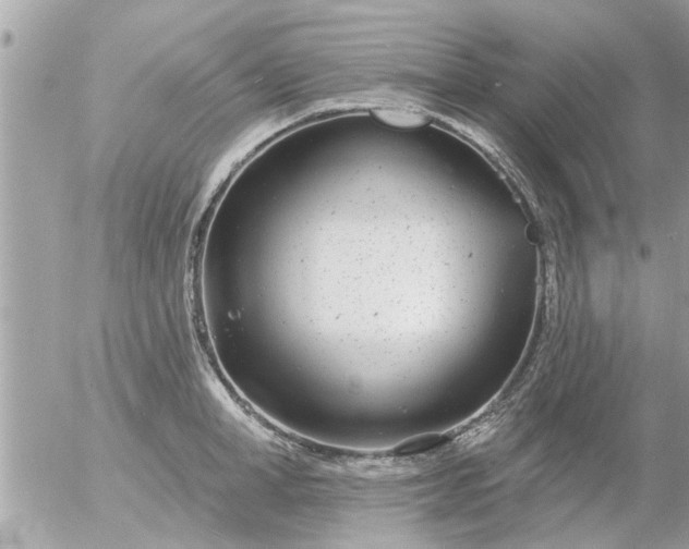 X0000055520998200508262201