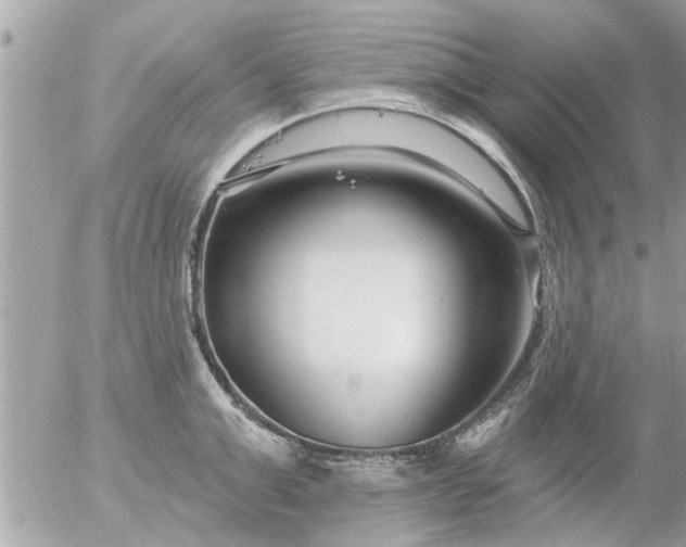 X0000055520999200508262201