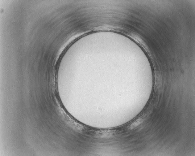 X0000055521000200508262201