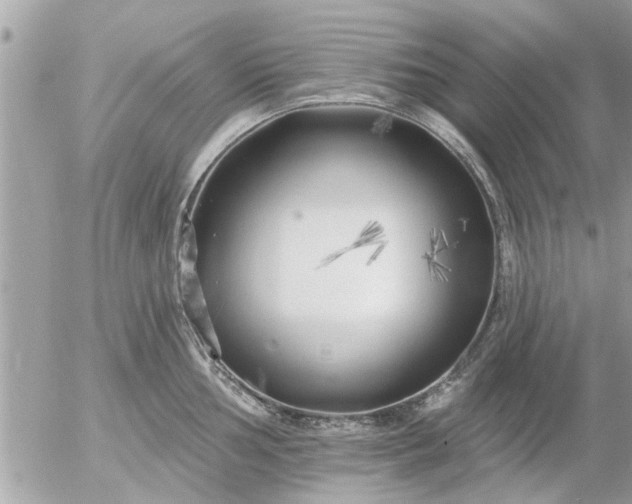 X0000055521002200508262201