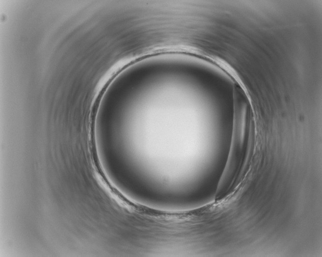 X0000055521005200508262201