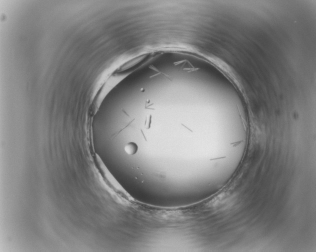 X0000055521006200508262201