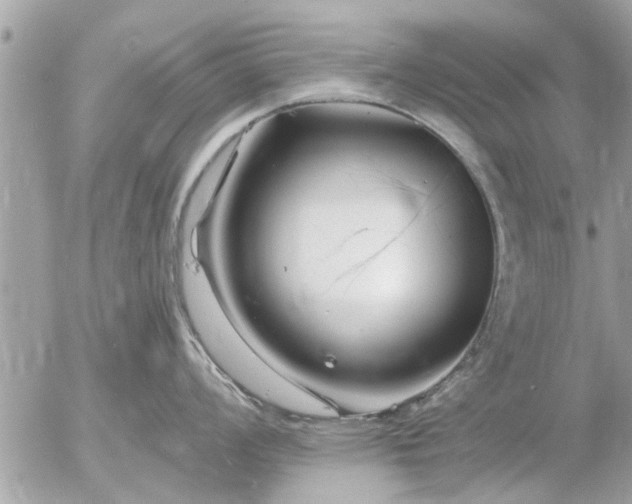 X0000055521008200508262201