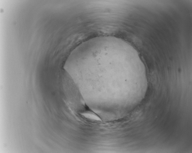 X0000055521009200508262200