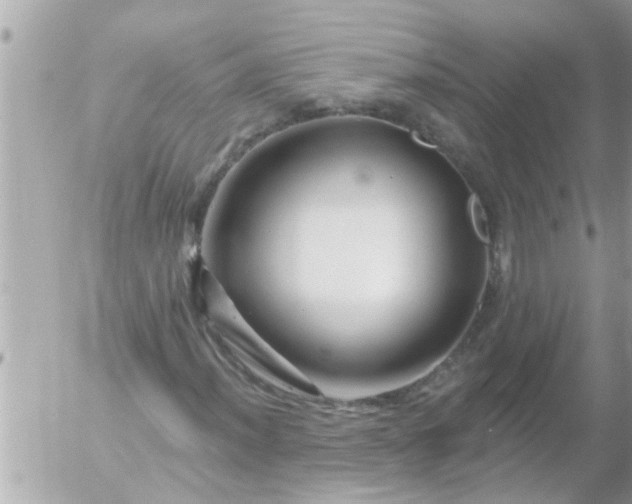 X0000055521012200508262200