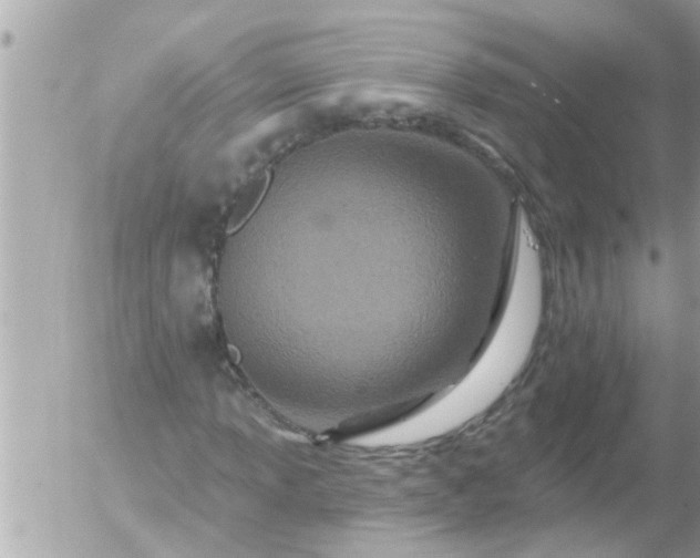 X0000055521013200508262200