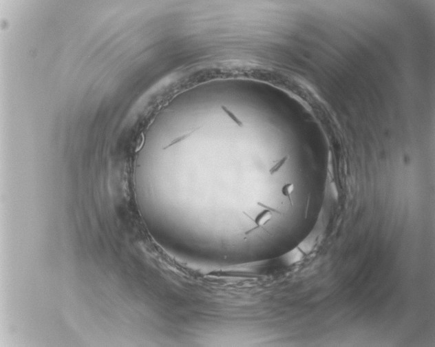 X0000055521016200508262200