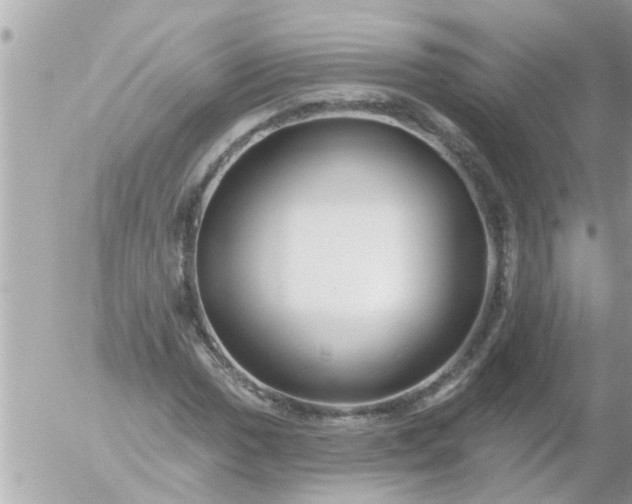 X0000055521017200508262200