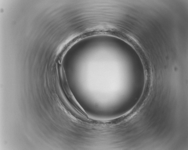 X0000055521018200508262200