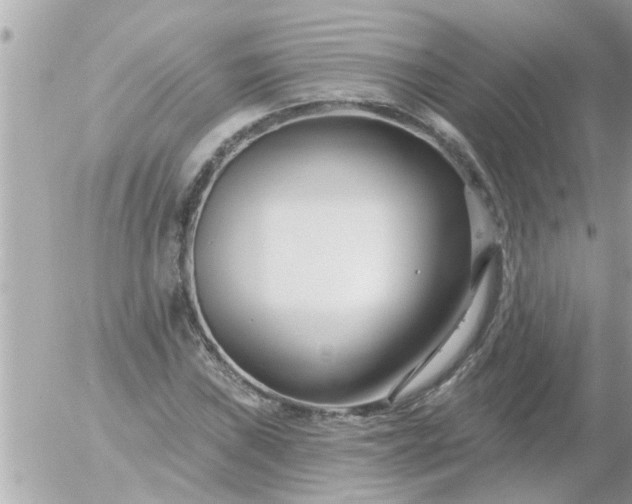 X0000055521019200508262200