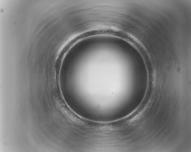 X0000055521021200508262200