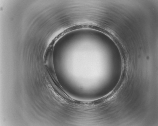 X0000055521022200508262200