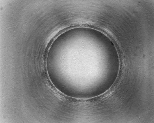 X0000055521023200508262200