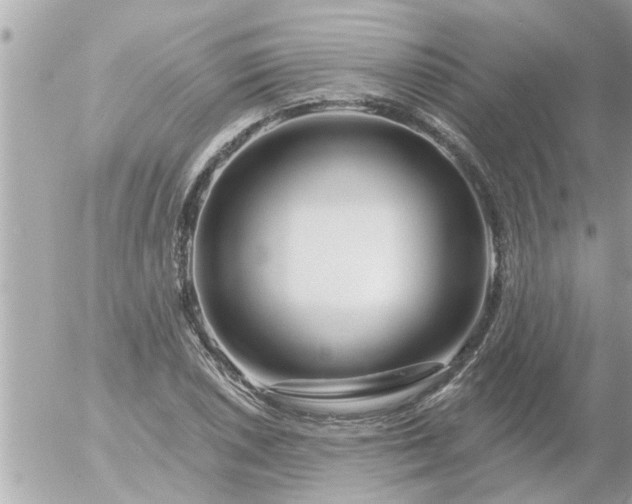 X0000055521026200508262200