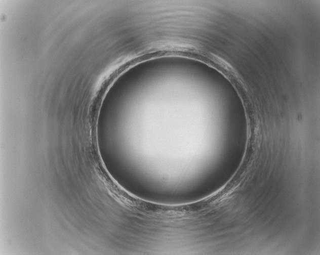 X0000055521027200508262200