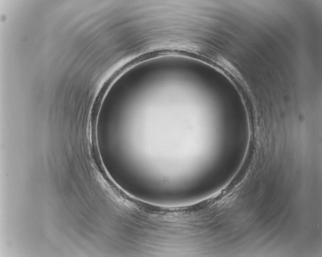 X0000055521028200508262200