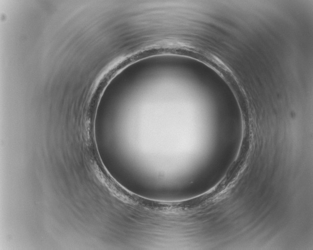 X0000055521029200508262200