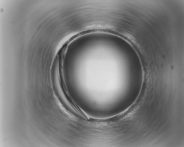 X0000055521030200508262200