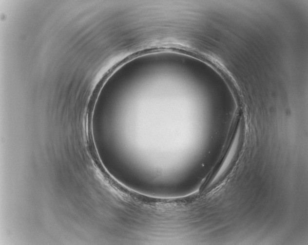 X0000055521032200508262200