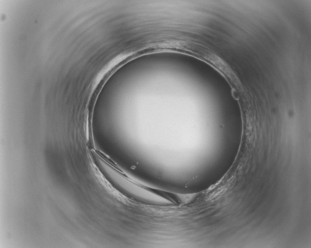 X0000055521036200508262200