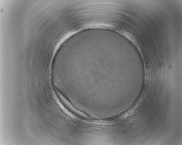 X0000055521037200508262200