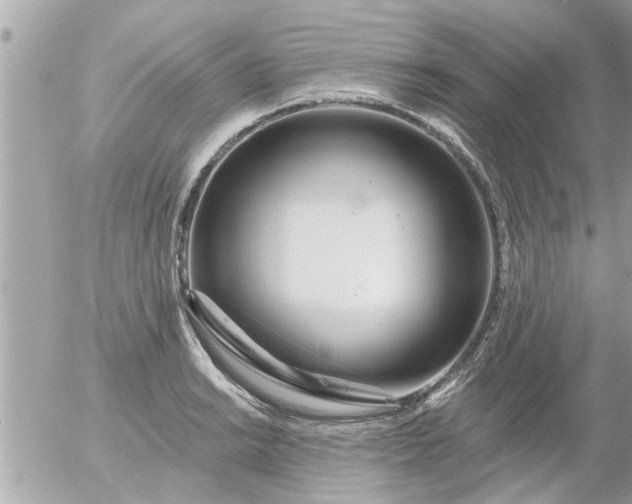 X0000055521038200508262200