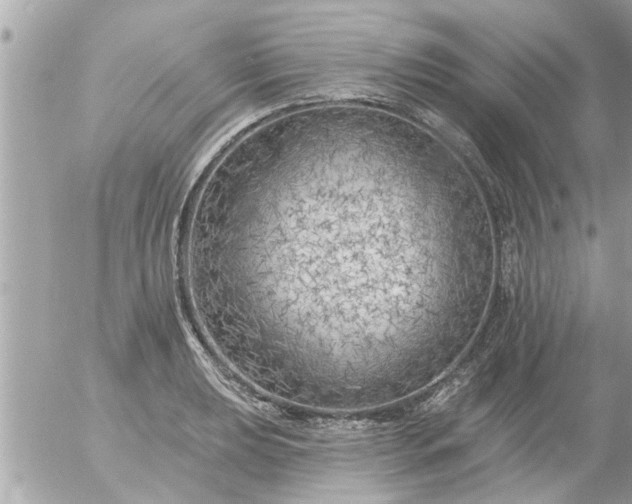 X0000055521039200508262200