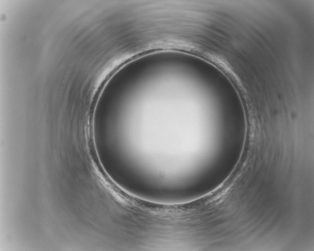 X0000055521040200508262200