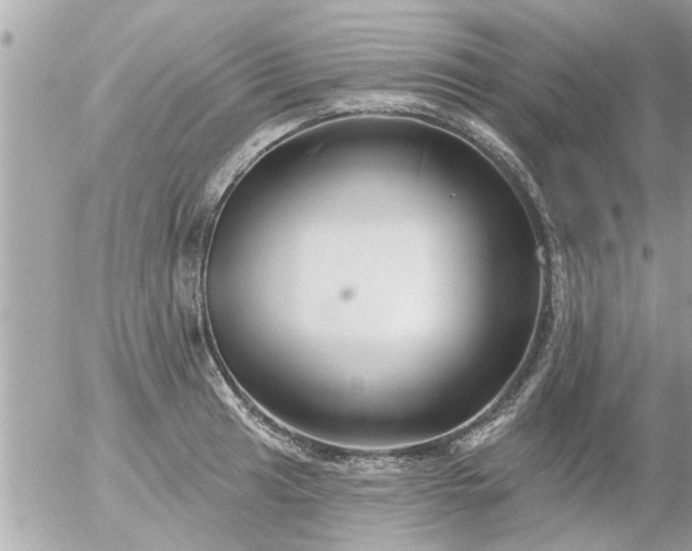 X0000055521041200508262200