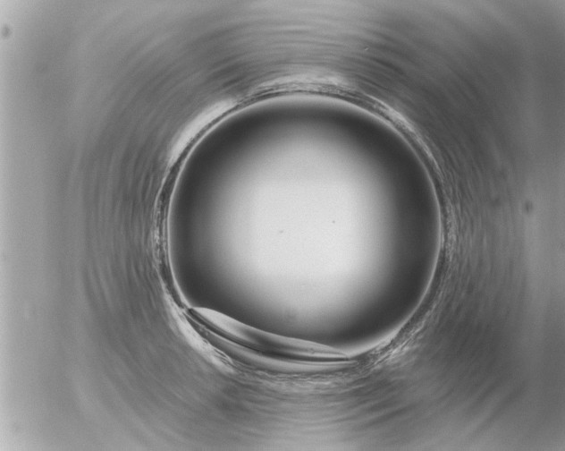 X0000055521042200508262200