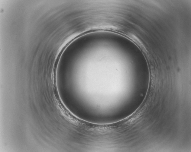 X0000055521044200508262200