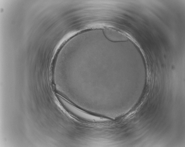 X0000055521045200508262200